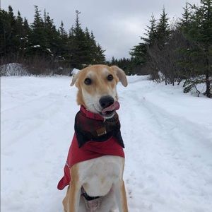 Meet your Posher, Natasha